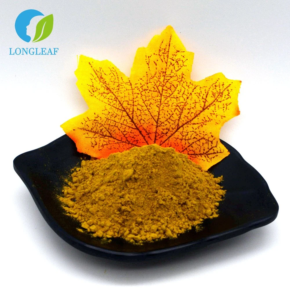 Natural Rosmarinic Acid 5%-95% Rosemary Leaf Extract Powder