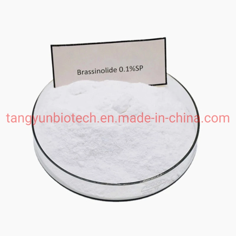 Brassinolide 0.01%Sp Powder Plant Growth Regulator Brassinolide 0.01%Sp