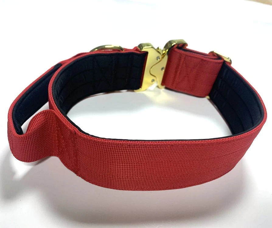 Heavy Duty Buckle Dog Collar with Handle Tactical Pet Collar