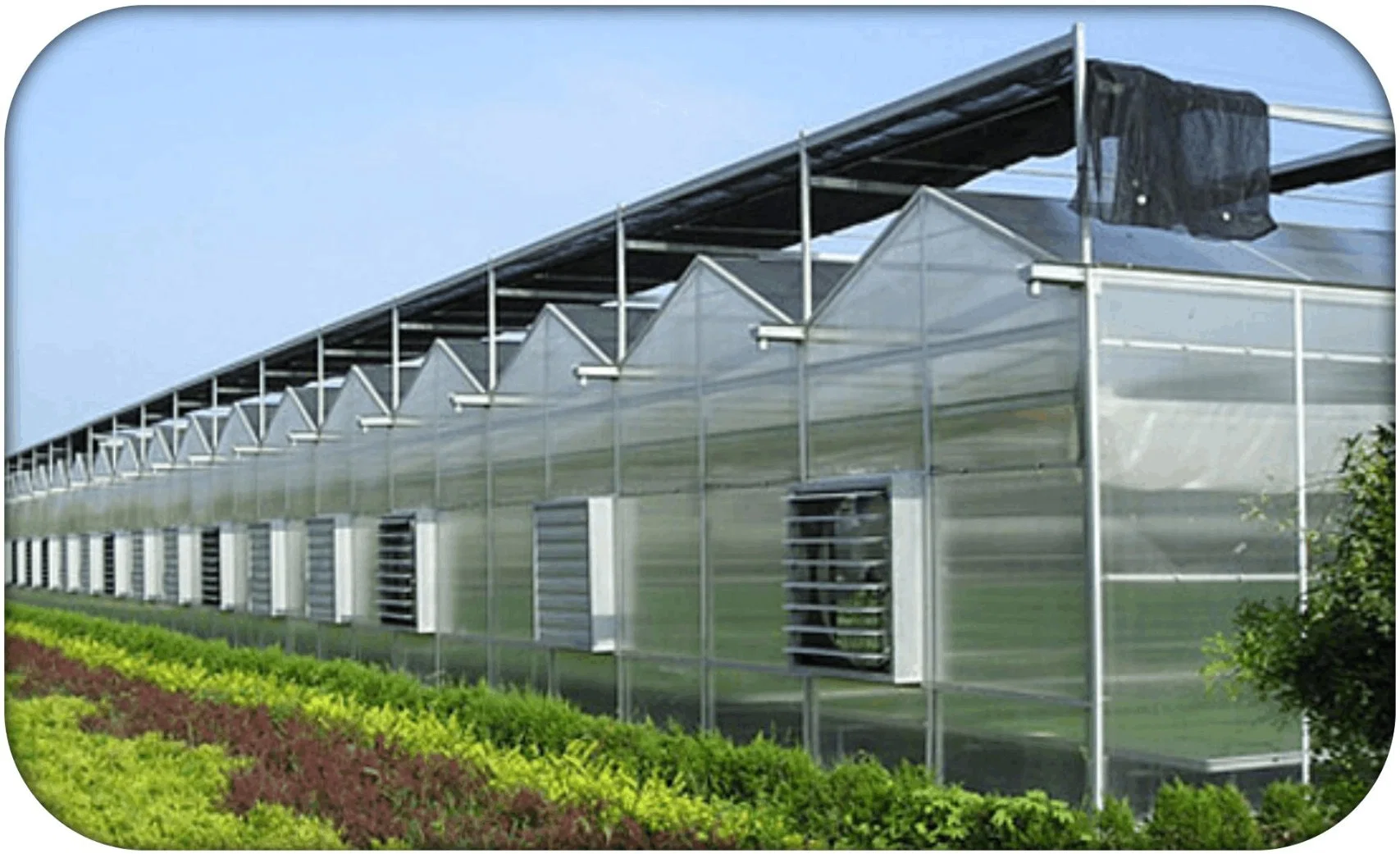 Hot Galvanized Pipe Poly Carbonate Greenhouse with Shading and Automatic Irrigation System