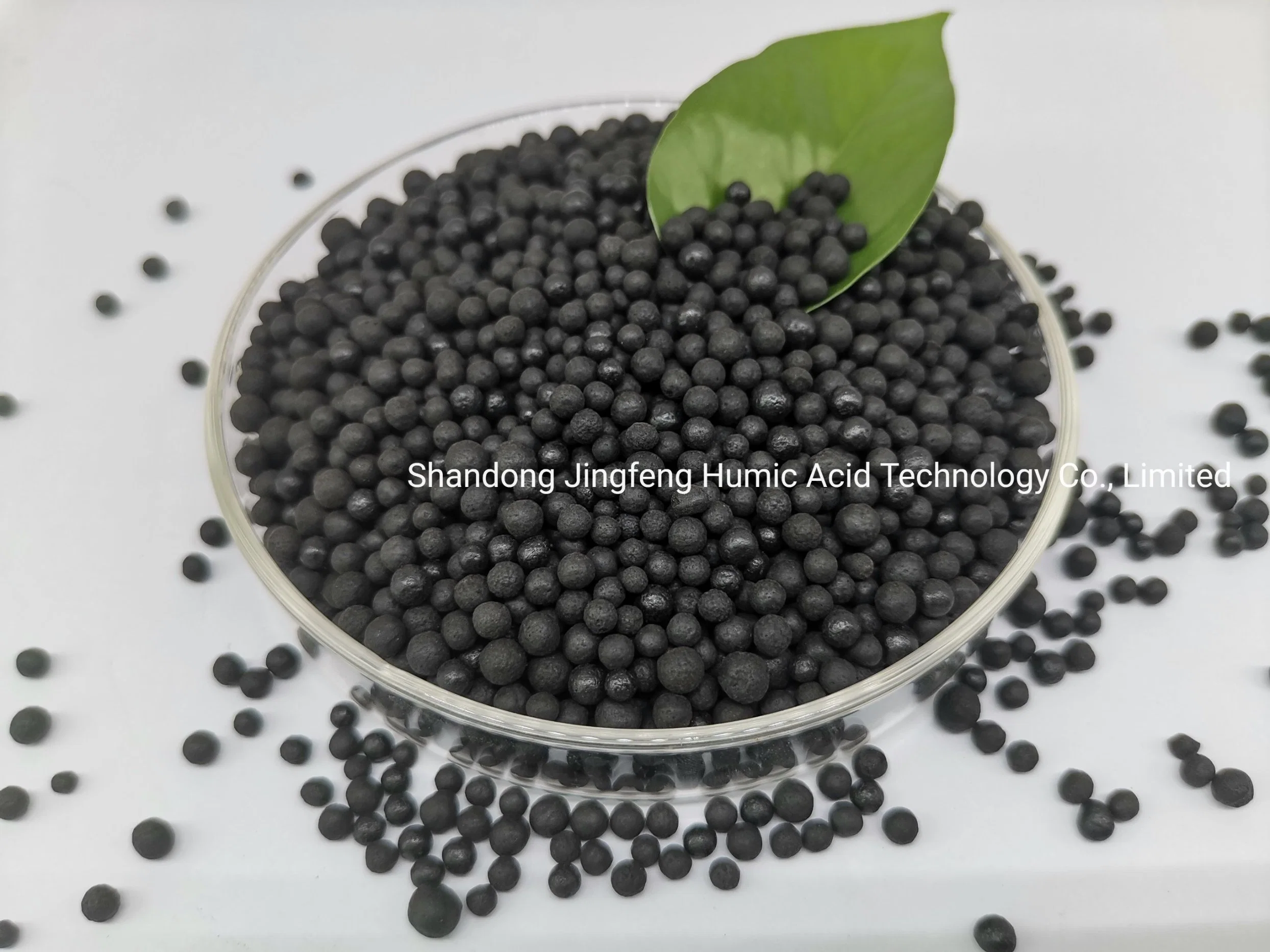 Granular Agrochemical Organic Fertilizer Amino Acid Compound Humic Acid Agriculture Use Balck Shiny Granule