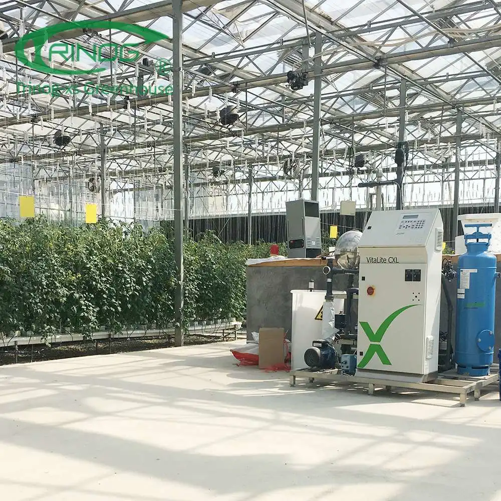 La película de alta eficiencia con sistemas de cultivo hidropónico de efecto invernadero para plantas/flores/vegetal