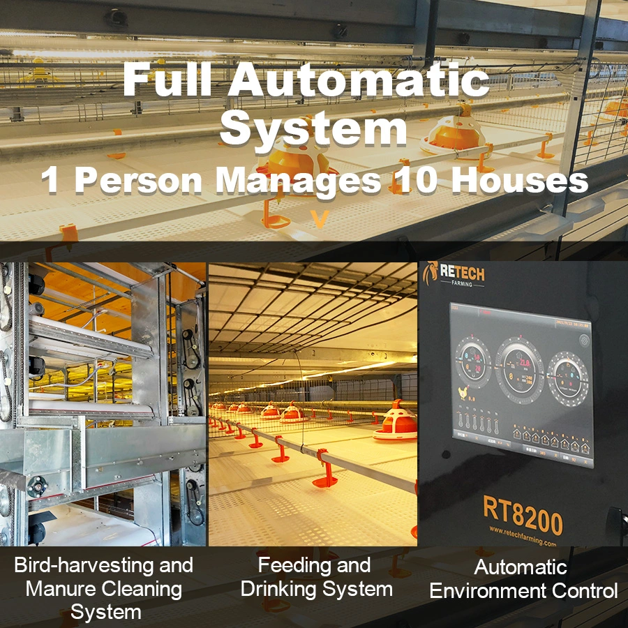 Automatic bird-harvesting broiler raisin cage system