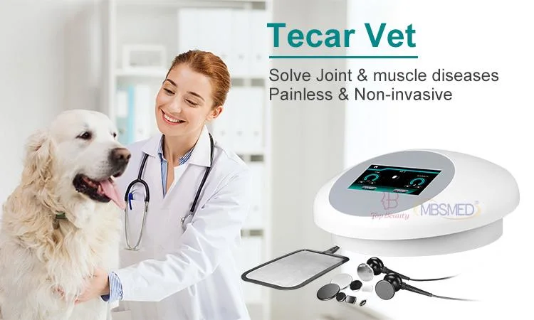 High quality/High cost performance Durable Using Various Tecar for Horse Leg Digital Therapy Machine