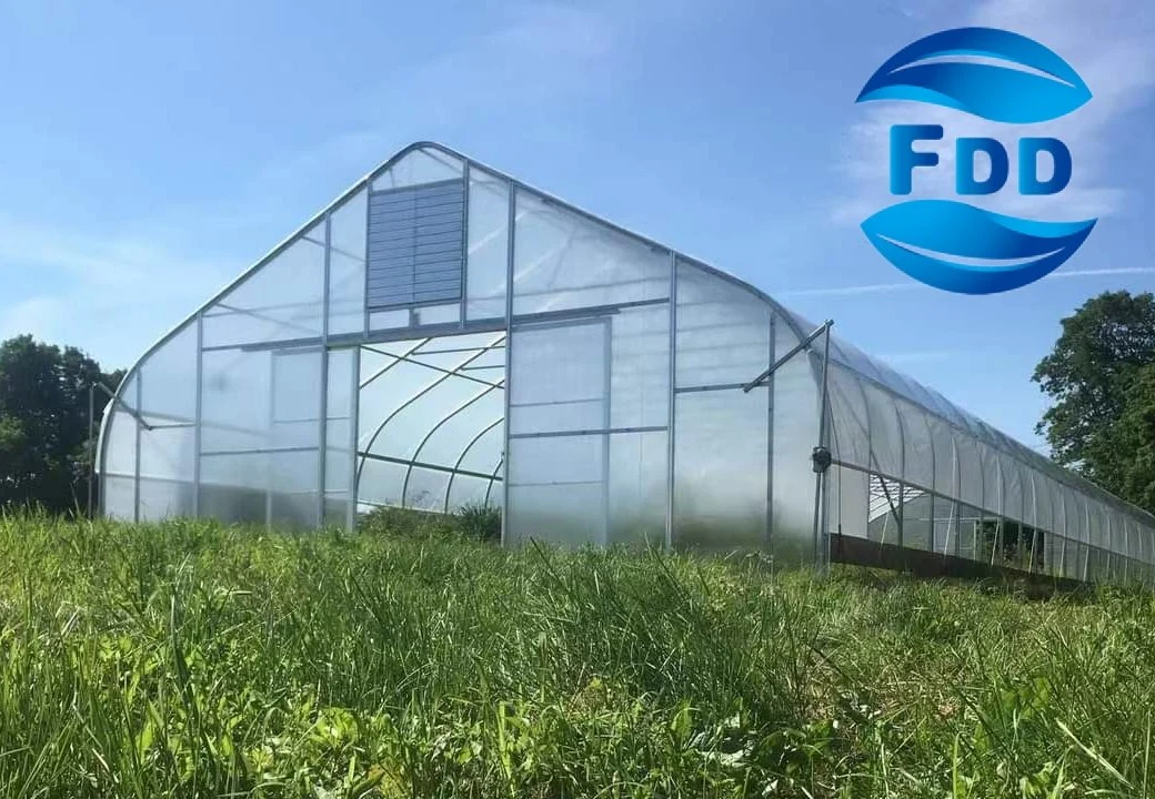 FDD cinco capas Co-Extuued Polietilence Arqueado Greenhouse Film