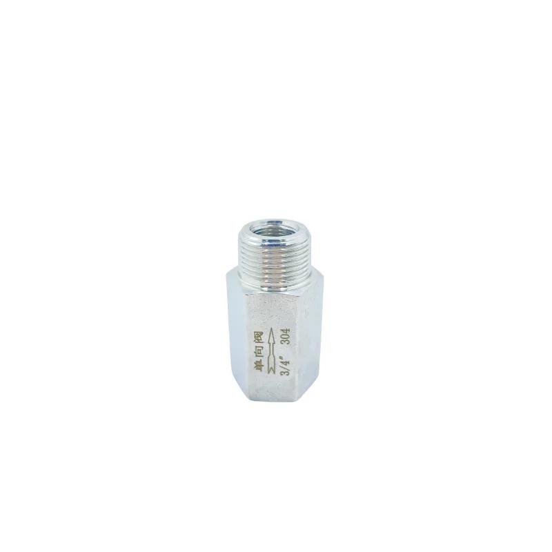 Manufacturer Supplies 304 Stainless Steel Femal/Male Thread Check Valves