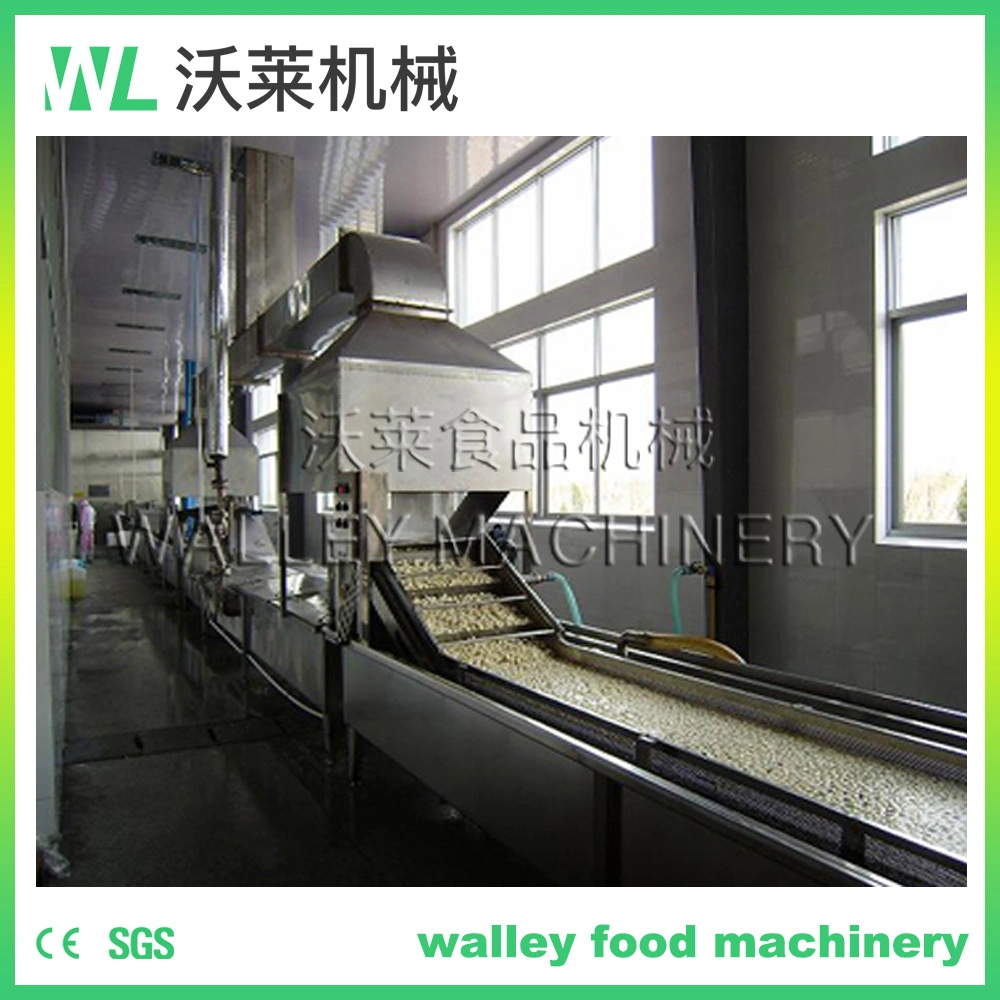 Customizing Industrial Hot Water Blanching Machine Blancher Aquatic Products