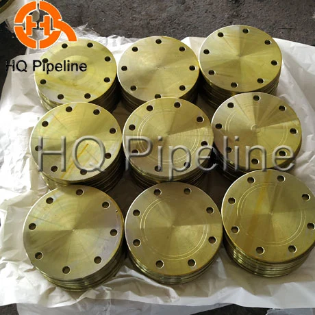 Forged Stainless Steel 304/316 Pn40/Pn25 Socket Welding/Welded (SW) Flange