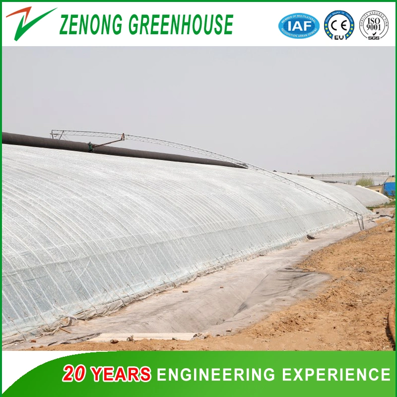 Modern Advanced Solar Greenhouse Sunlight Green House Seed Breeding Greenhouses with Intelligent Control System Automatic Sprinkler for Modern Agriculture