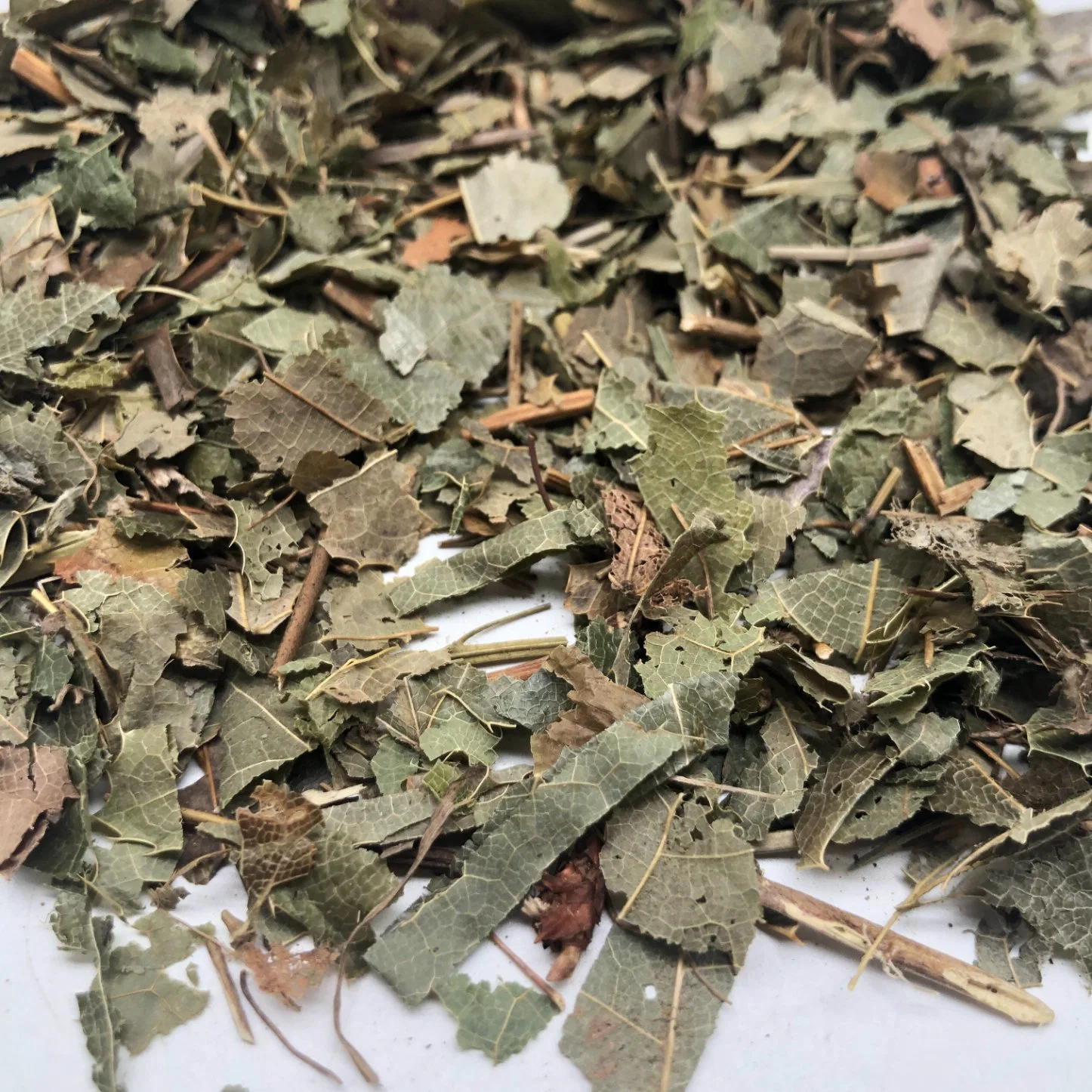 Epimedium Leaf esmagada folhas de alta qualidade Medicina Chinesa Horny Goat Erva daninha