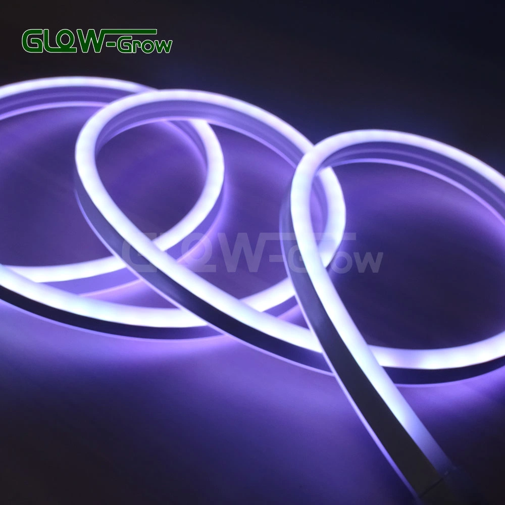 UL ETL Color Changing Double Side RGB Sync 5050 Flexible LED Neon Flex Strip Light with Reote Controller for Project Commercial Holiday Decoration