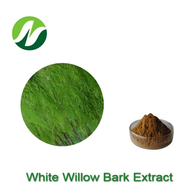 Wholesale Chinese Factory Salicin 15%~99% by HPLC White Willow Bark Extract Salix Alba Extract