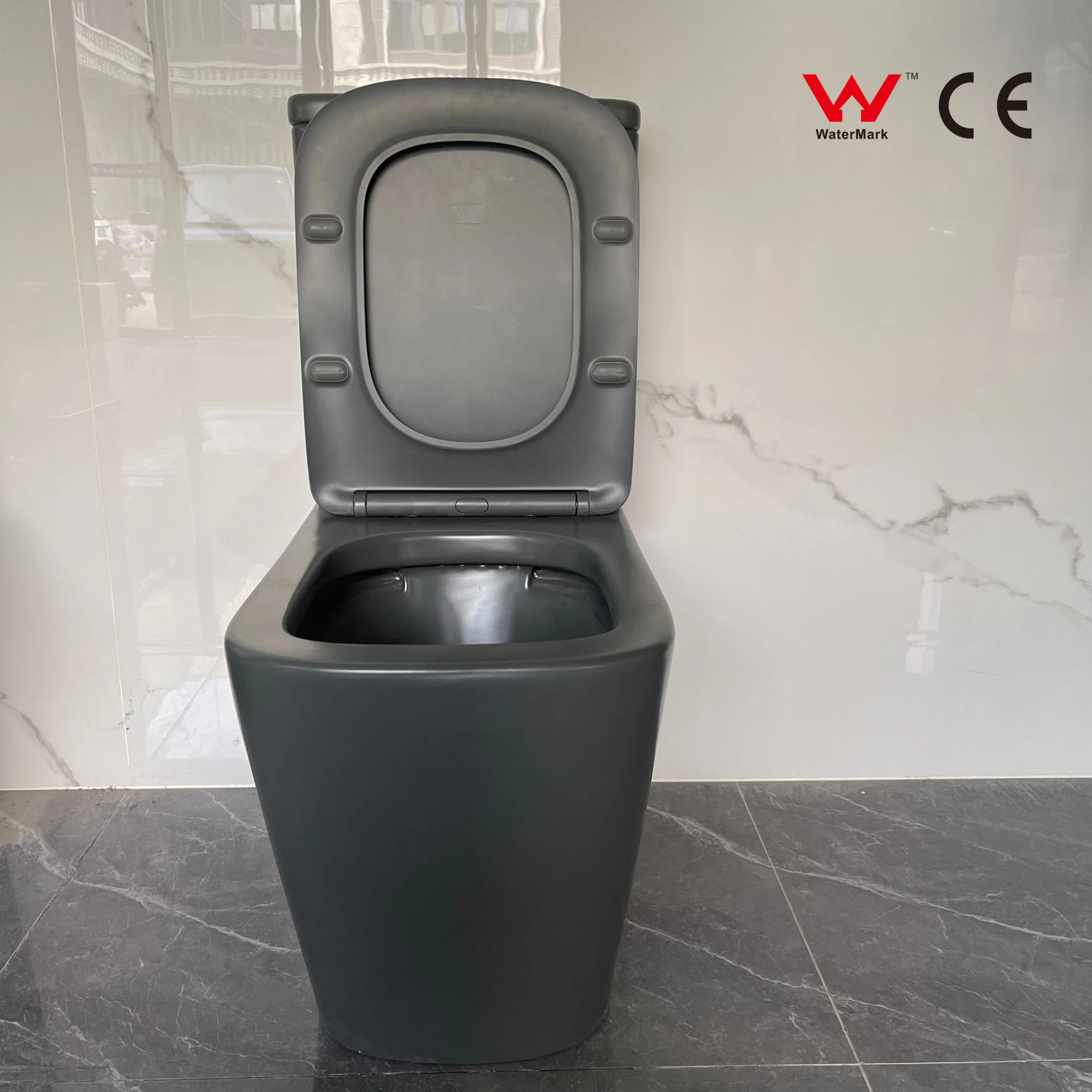 2023 Wasserzeichen CE Schließenhocker Fabrik Preis Luxus Multi Color WC. Badezimmer Wc.