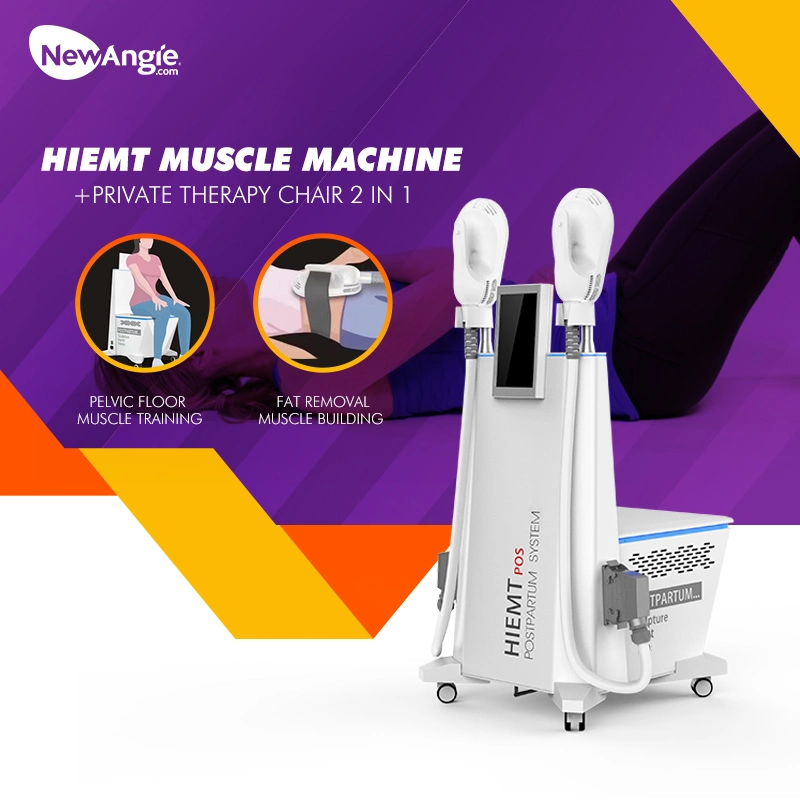 Air Cooling Hiemt POS Postpartrum Fat Burn Muscle Pelvic Floor OEM Hiempt PRO Portatil Hi-EMT Beauty Machine