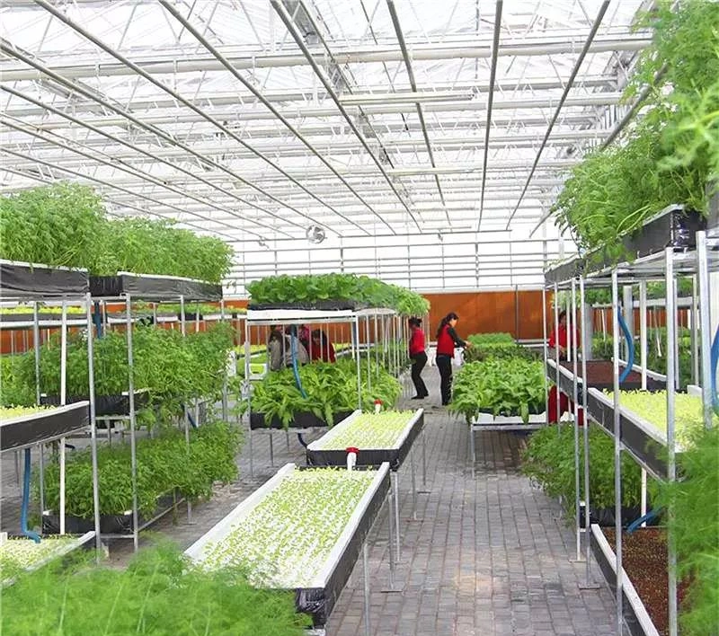 Agricultural Glasshouse Covering Material with Hydroponics System