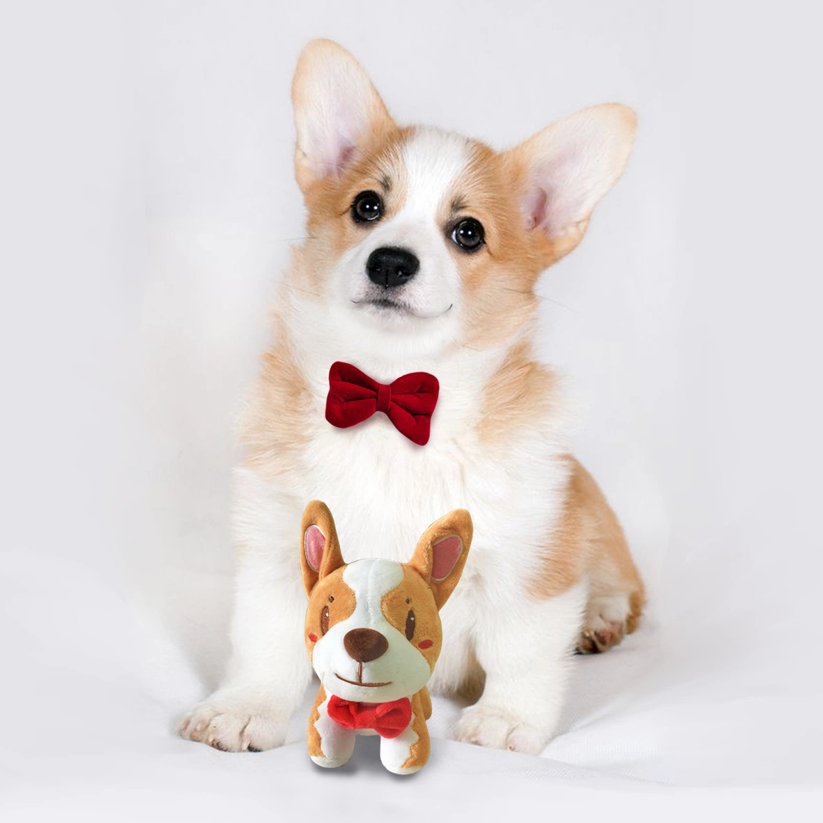 Cute Plush Cartoon Corgi Dog Plush Toys Custom Lovely Soft Cartoon Plush Toys Stuffed Animal
