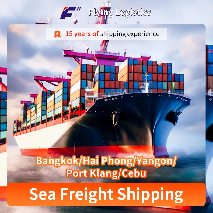 Sea Freight From China to Bangkok/Hai Phong/Yangon/Port Klang/Cebu