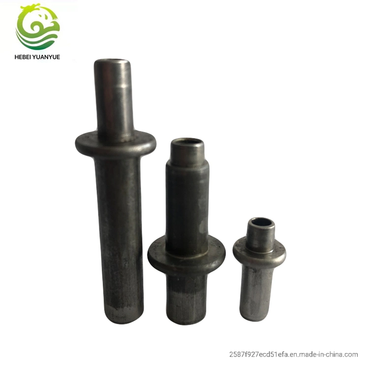 Custom Automotive Industry Fastener Cold Forming Parts