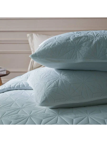 Pinsonic Quilting Micro Fiber Comforter & Pillow Protector Bedding Set