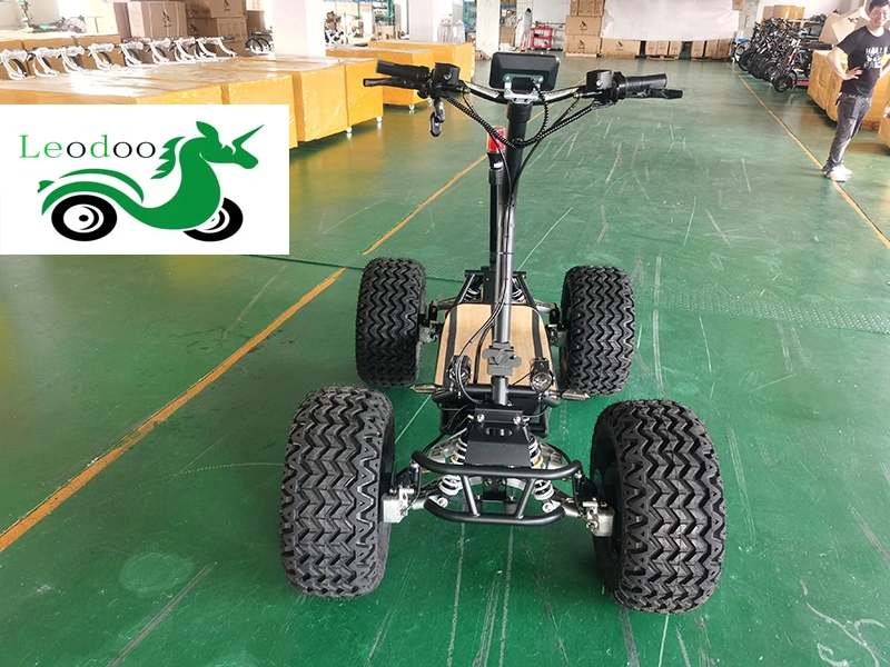 مونستر 2 مقعد رينلي 6000W 4X4 Sport Buggy /Go Kart