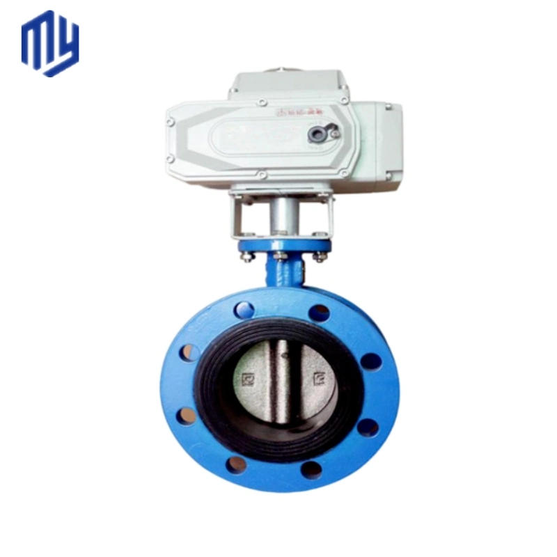 Pn16 Worm Gear Ductile Iron Double Flange Eccentric Butterfly Valve