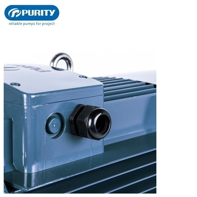 Purity Electric Close Coupled Monoblock Surface Zentrifugalwasserpumpe