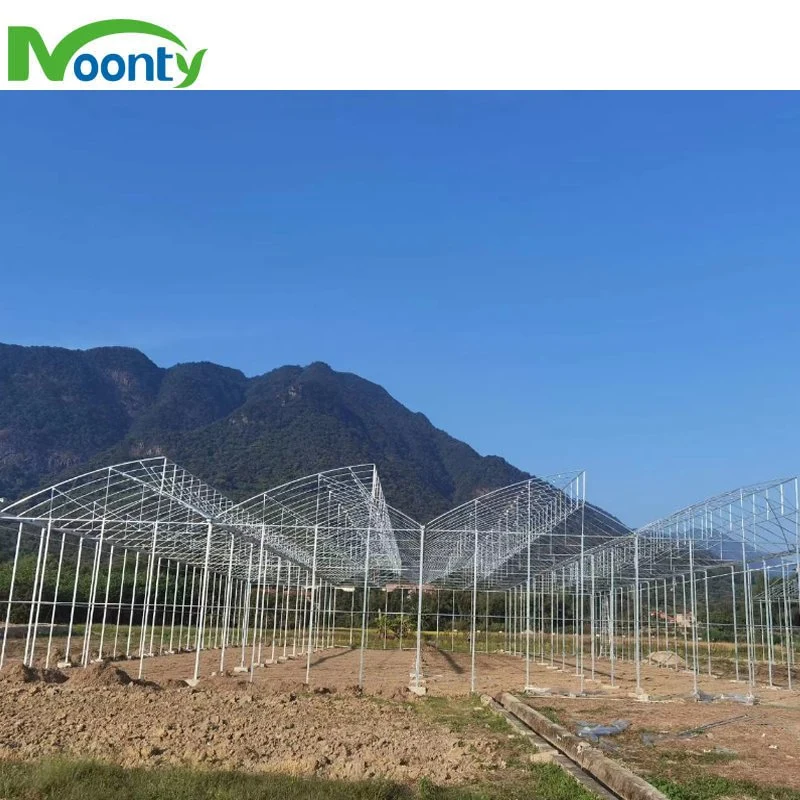 Factory Customized Turnkey High quality/High cost performance  Multispan Plastic Film Greenhouse with Hydroponics System