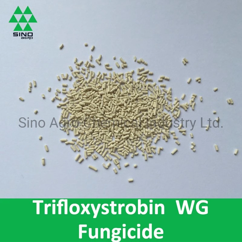 Fungicide Pesticide Trifloxystrobin 50% Wg/Wdg