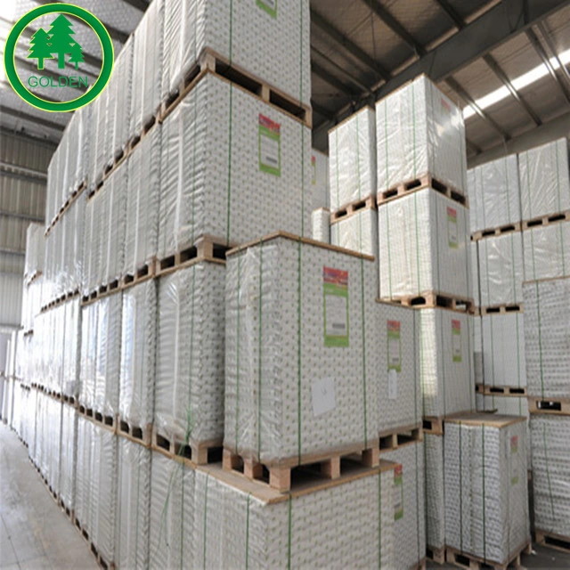 China Top Quality C2s 100% Virgin Wood Pulp White Couche Paper