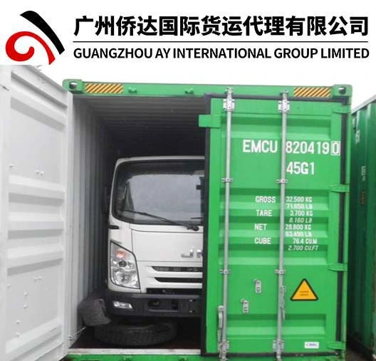 FOB Shanghai 20'/40' Transporte de contenedores desde China a Suiza (Basilea/Zurich/Berna/Ginebra/Lausana) Con el Servicio de almacén de Guangzhou