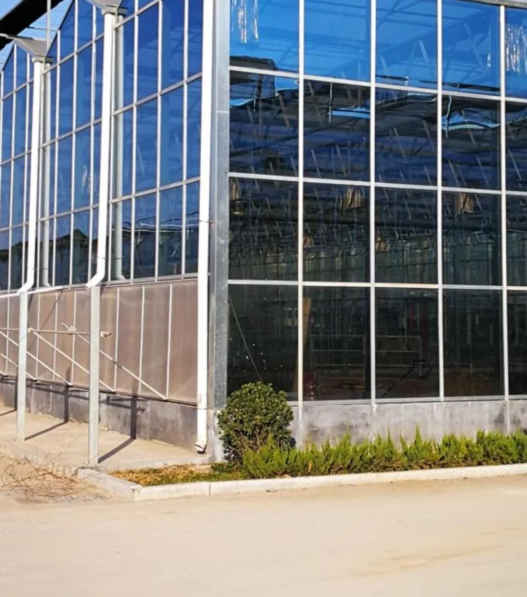 Buena luz oxígeno invernadero ecológico con refrigerador hidropónico Ventilador eléctrico/Restaurante/interno/externo Apertura de ventana para planta