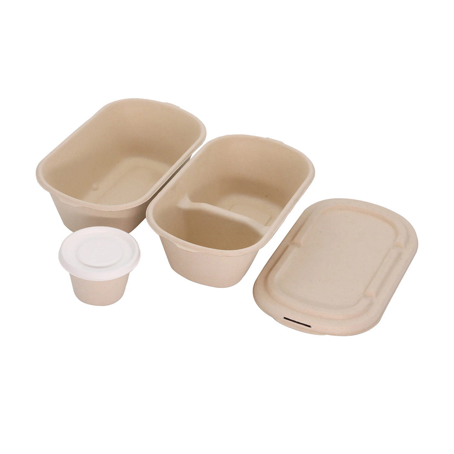 Sugarcane Bagasse Lunch Box Sugarcane Container Sugarcane Fibre Tableware