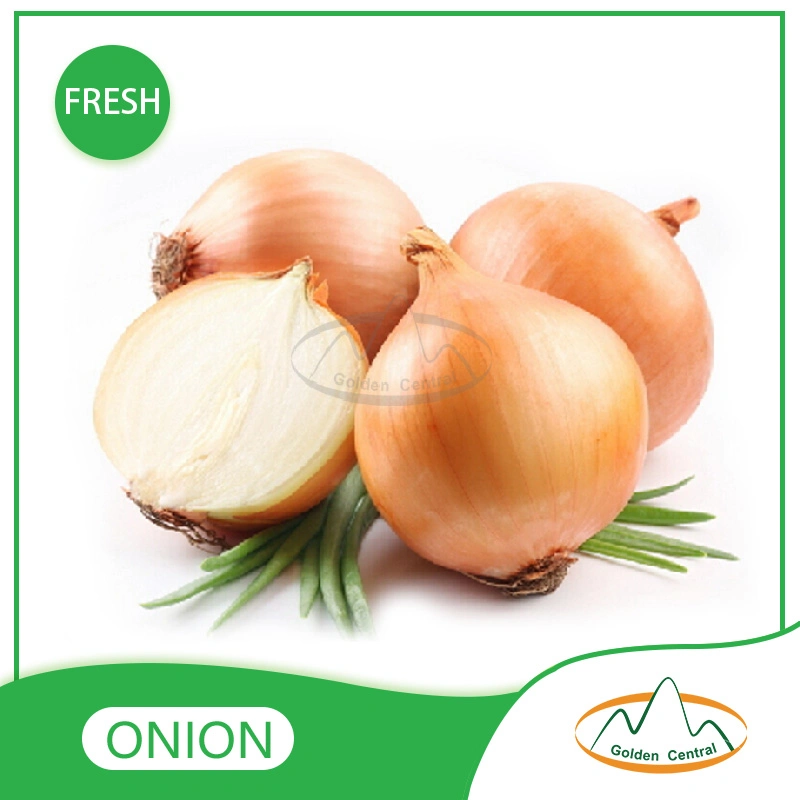 New Fresh China Yellow Onion