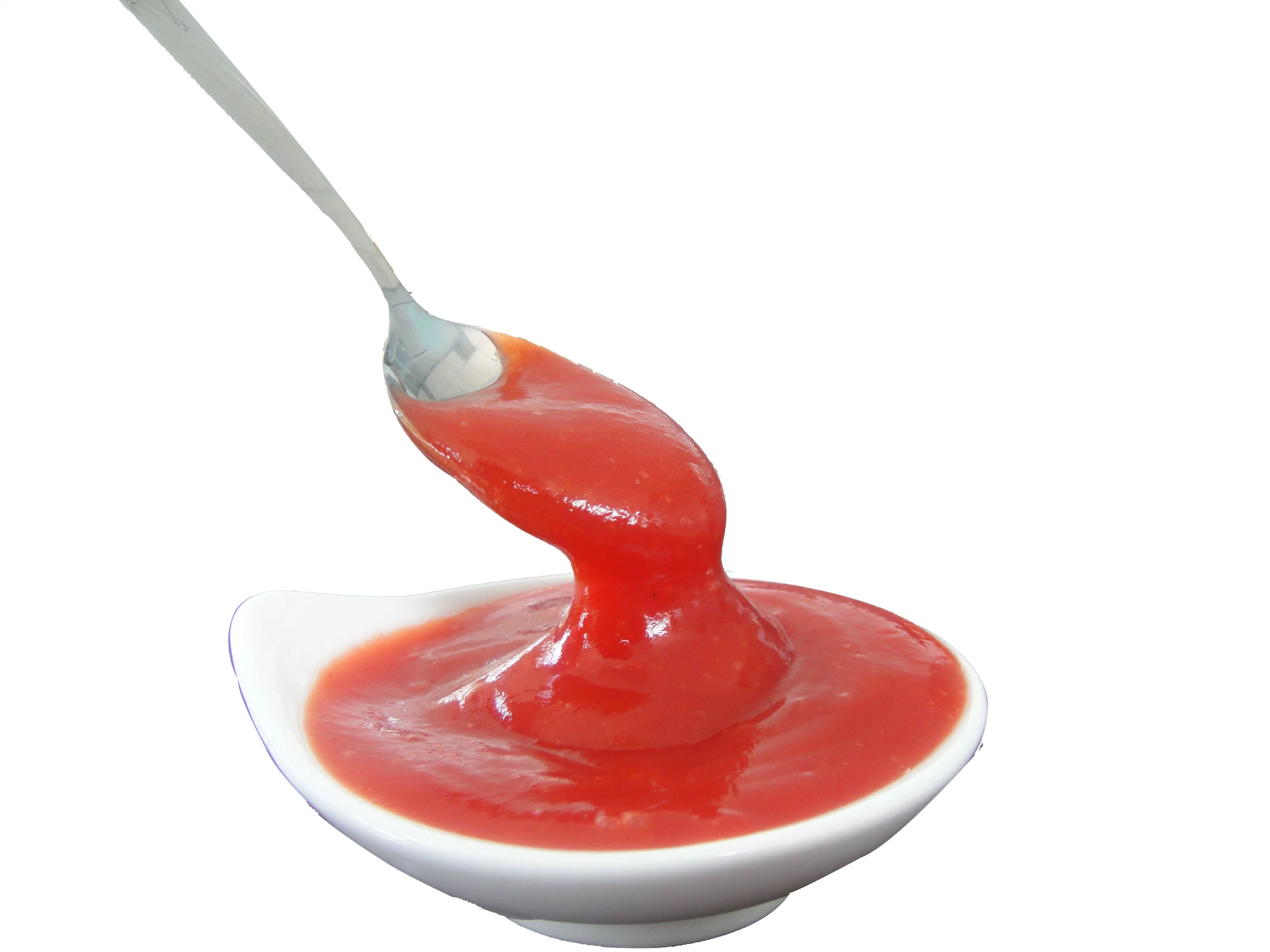 340g 5kg Ketchup Molho de Tomate