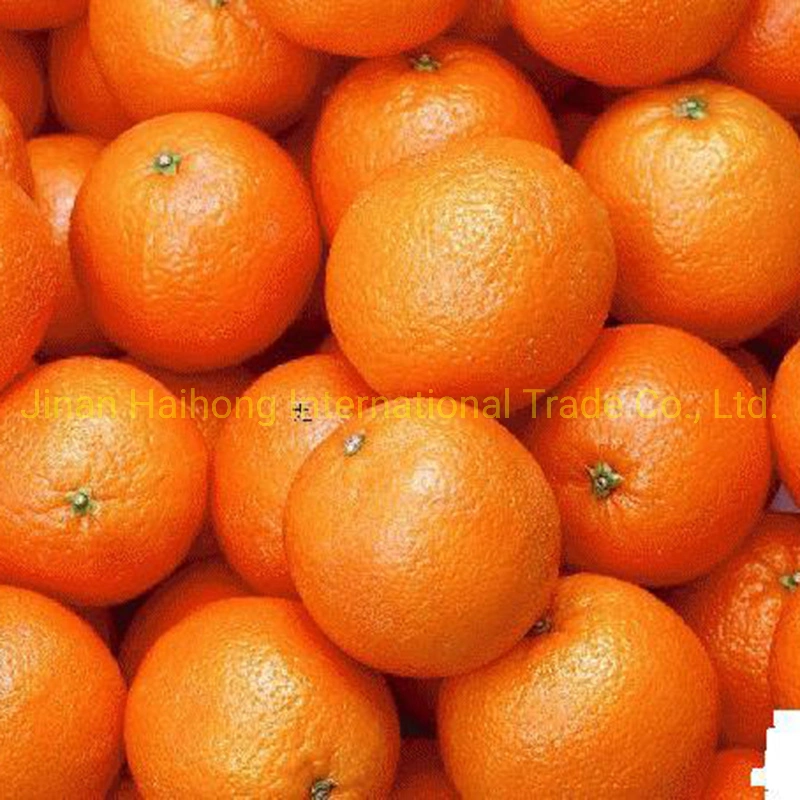 Fresh Chinese Decilious Navel Orange with More Juicy Fruit