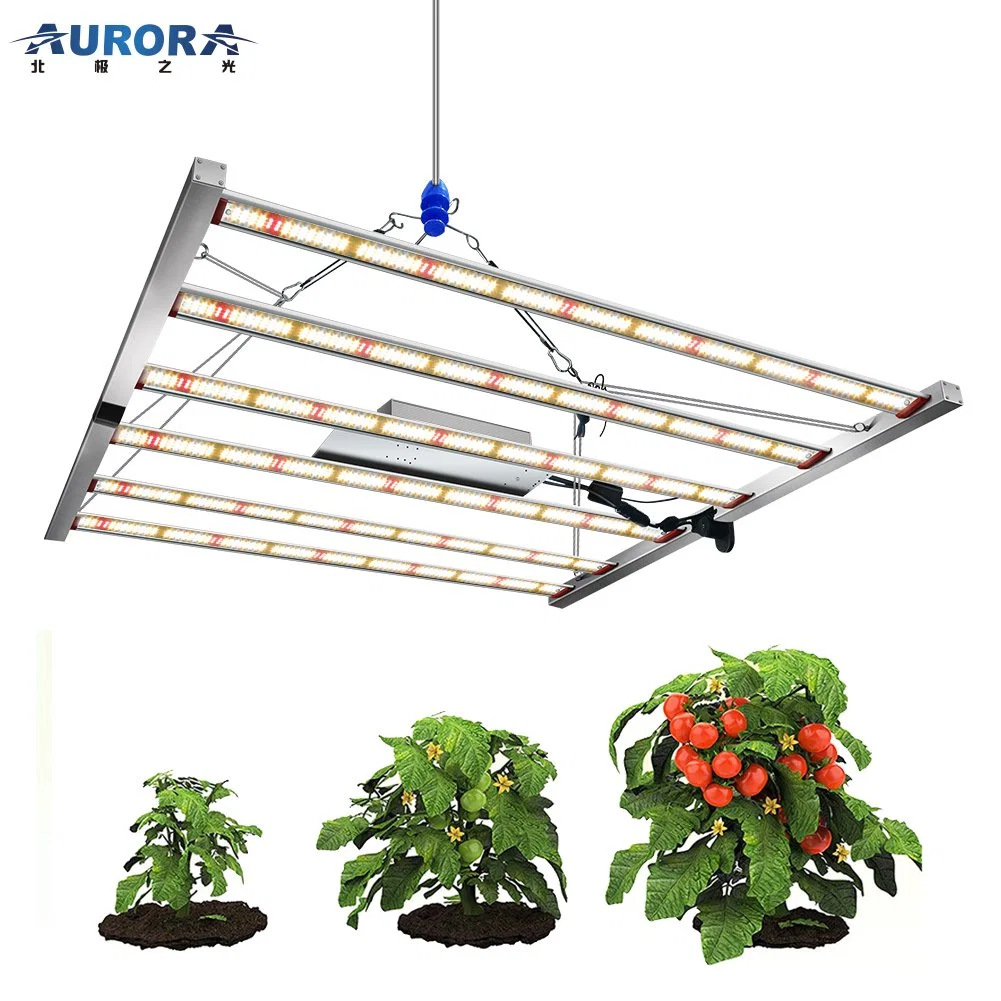 Aurora High Power Plants Vegetable LED Growing Lamps