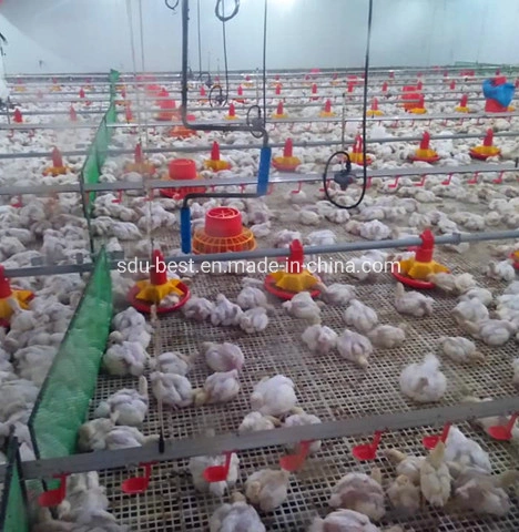 Guter Preis Automatische Geflügel Farm Ausrüstung Broiler Hühnerstall für Verkauf