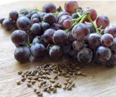 Top Quality Hot Sale 95% Proanthocyanidins (UV) Grape Seed Extract