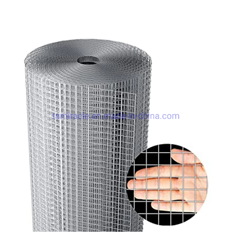 High quality/High cost performance Galvanized Welded Wire Mesh in Roll Used for Bird Cages/Garden Fence