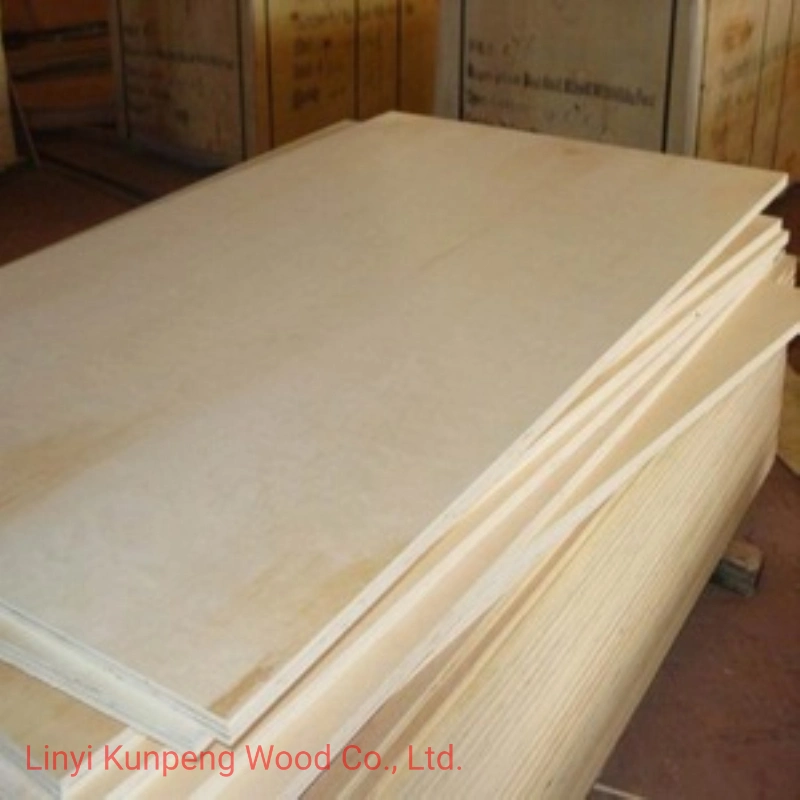 C/D Grade Birch Plywood with Poplar Core for Furniture