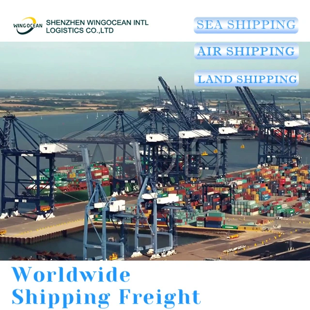 Reliable DDP/DDU Shipping Agent From China to USA/ Canada/ Europe Amazon Fba