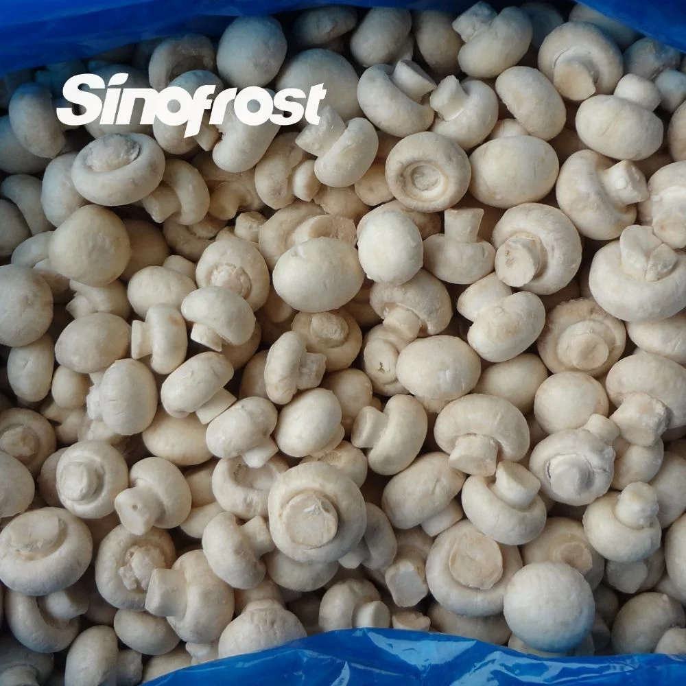 Wholesale/Supplier Supplier and Exporter of Halal/Brc/ISO Certified IQF Agaricus Bisporus Mushrooms