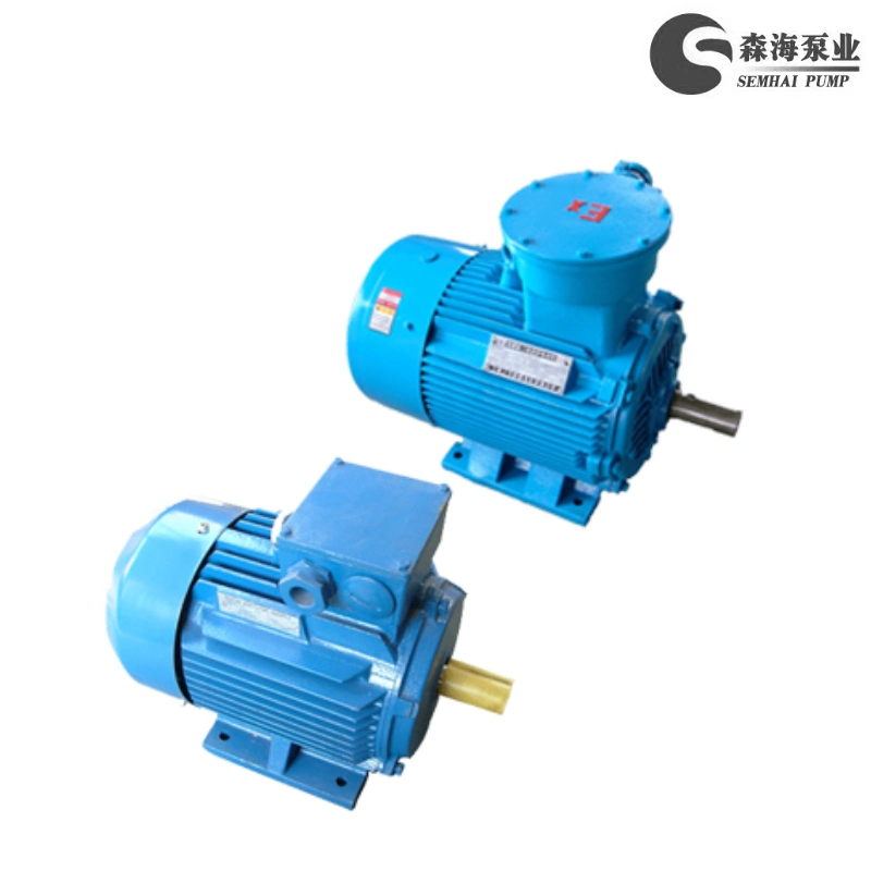 CE/UL IEC Standard 1/3 Phase AC High Efficiency Squirrel-Cage Induction Electric Motor in 50Hz/60Hz High/Low Voltage Eff1/Eff2 Ie3/Ie4/Ie5