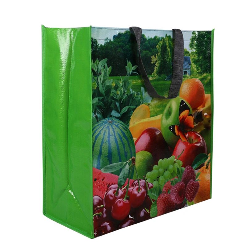 PP Woven Packing Bag with Full Printed OPP Film Lamination for Shopping