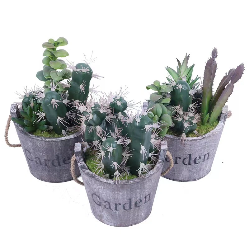 Artificial Succulents Plant Creativity Flower Pot for Home Decor