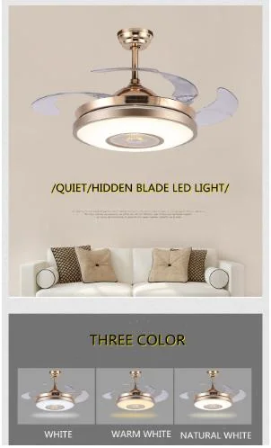 Modern Minimalist Interior Light Bedroom Dining Room LED Ceiling Fan