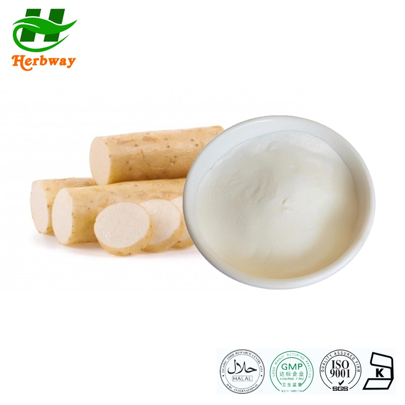 Herbway Plant Extract Food Grade Yam Root Powder Extract Wild Yam Extract Chinese Yam Extract for Food Additive