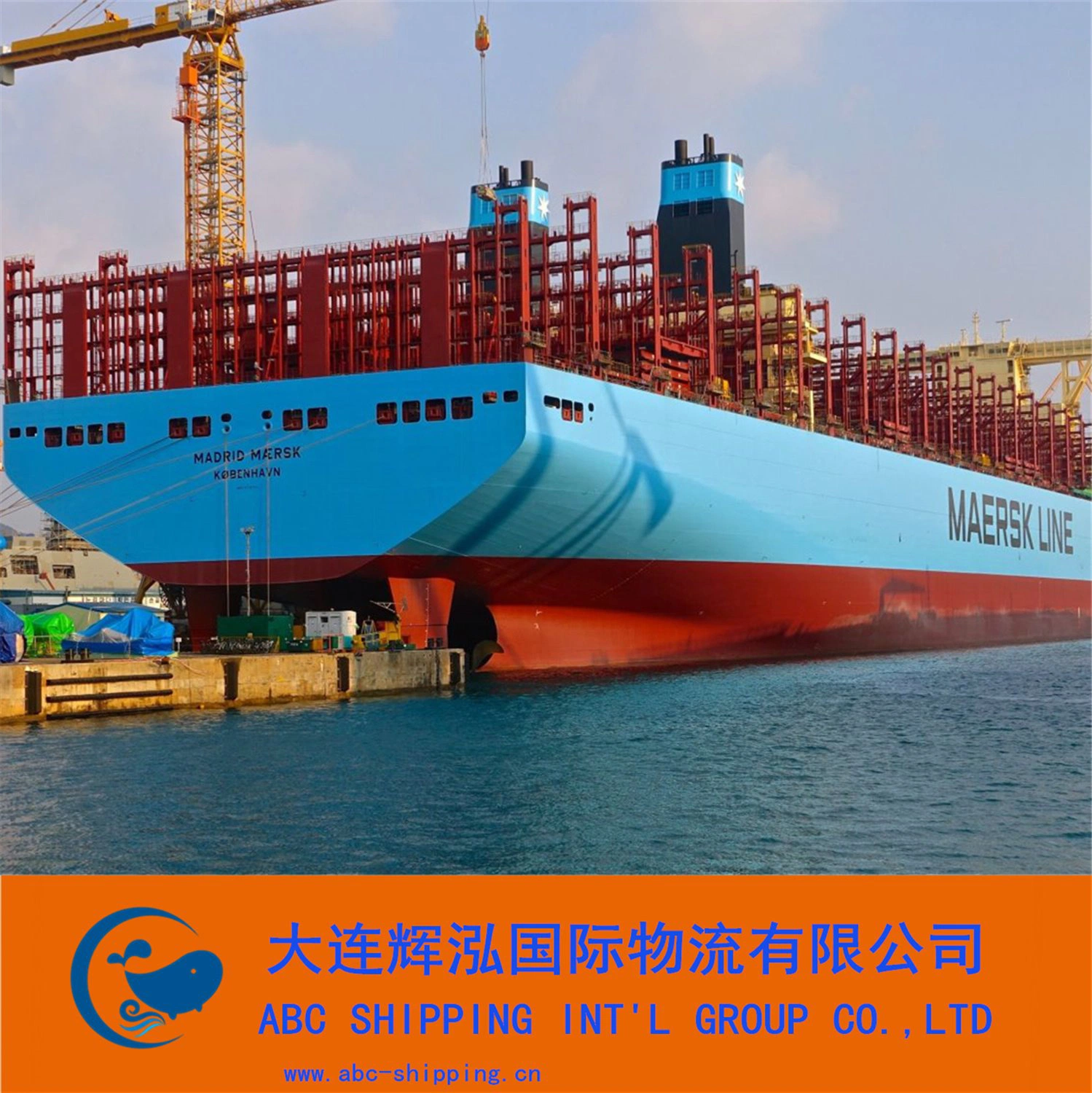 Import Sea Container Shipping Customs Clearance Service