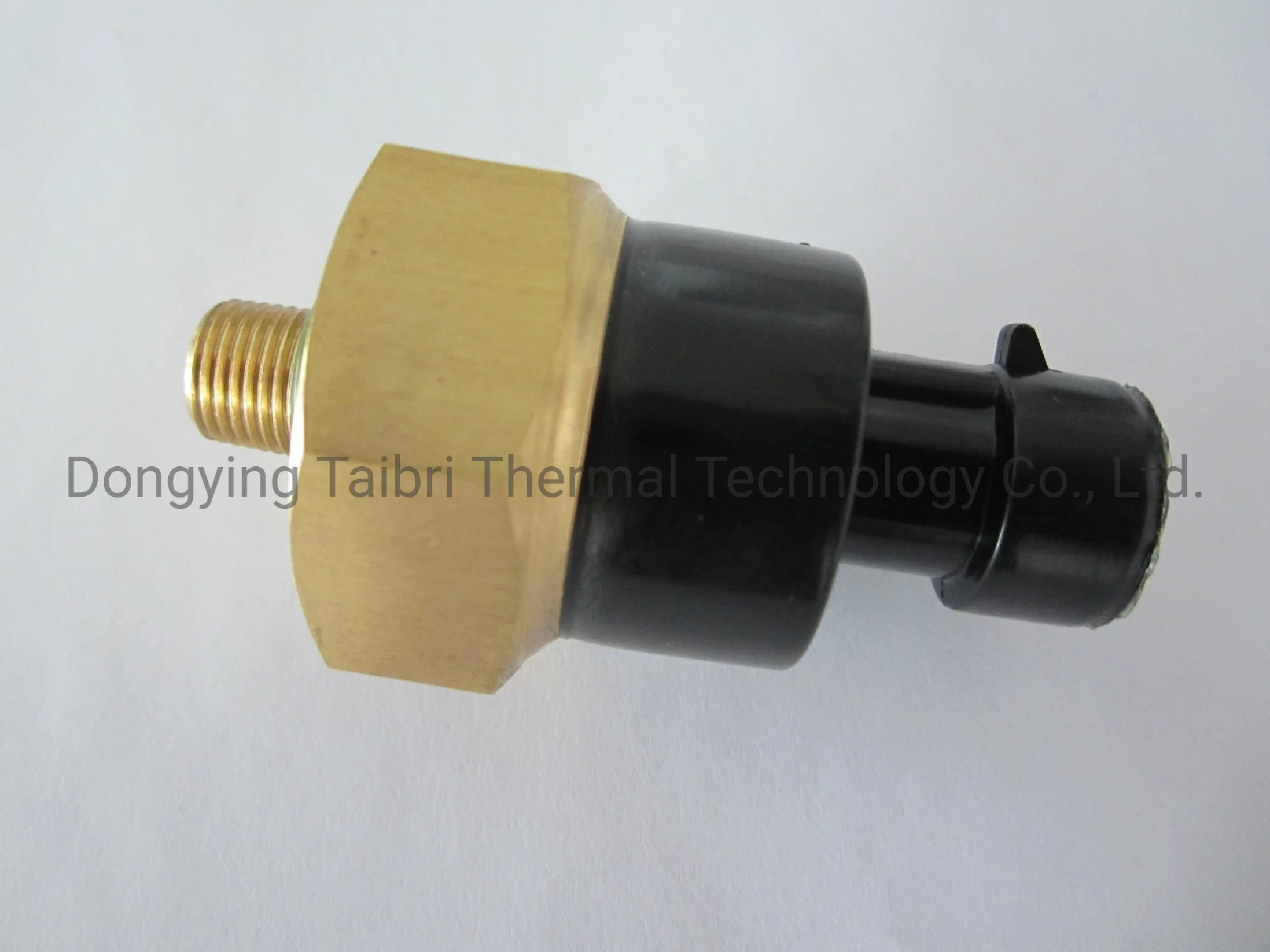 Normally Close Brass Solenoid Electromagnetic Valve Water Inlet Switch DC12V/DC24V/AC220V