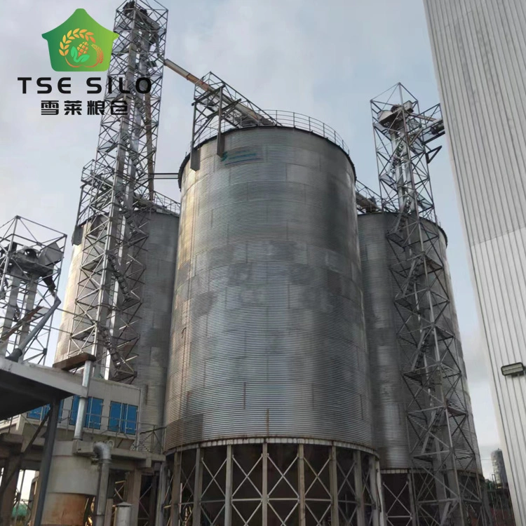 Full Automatic Hot Galvanized 51ton Steel Silo for Animal Food with Cone Bottom